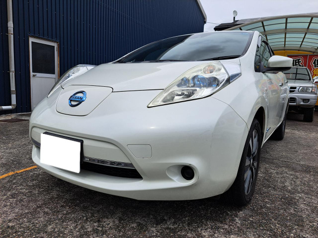リーフ30kWh X