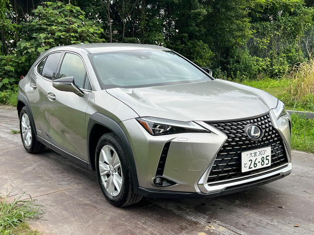 UX250h バージョンC
