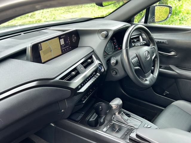 UX250h バージョンC