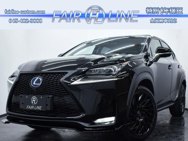 NX300h バージョンL