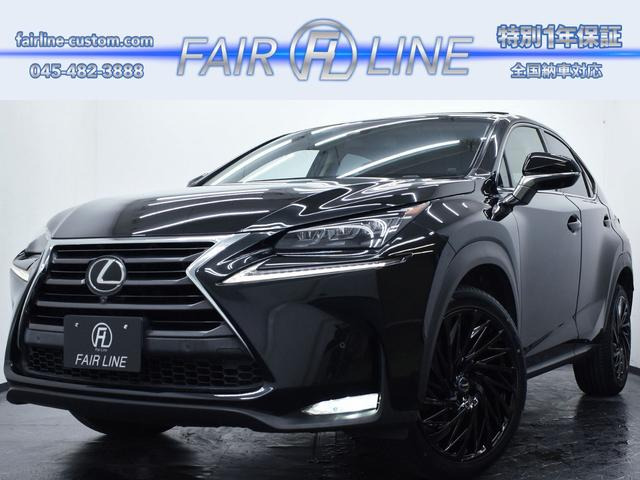 NX200t Iパッケージ