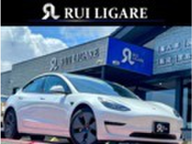 モデル3RWD