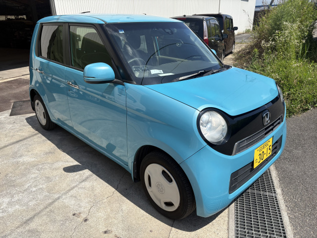 N-ONEG