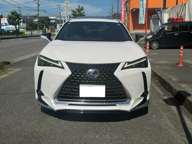 UX250h バージョンL