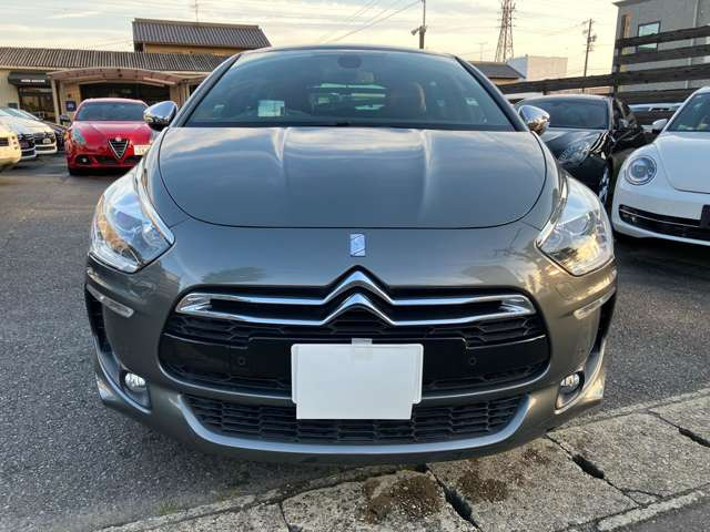 DS5シック