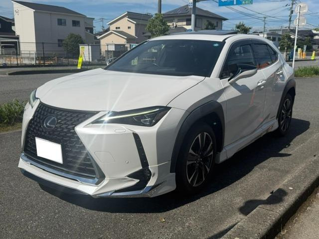 UX250h バージョンL