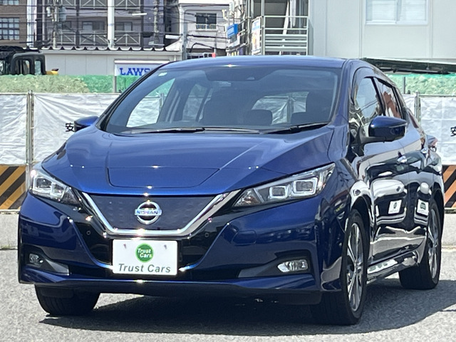 リーフG