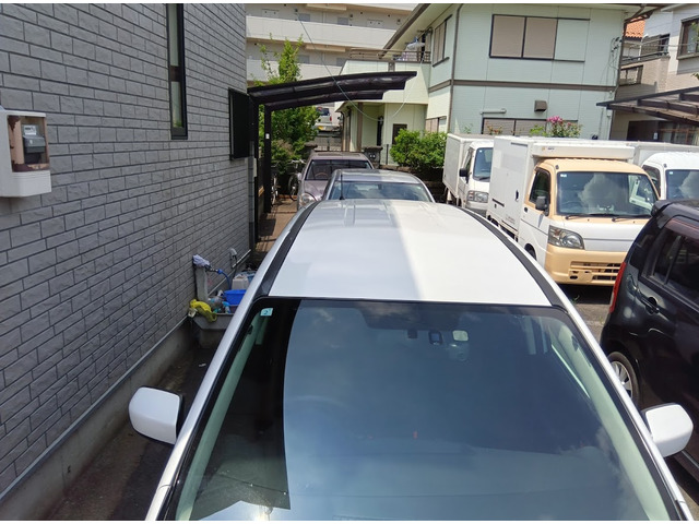 塗装の状態も良く、上部から見ても美しいボディコンディションを維持しています。