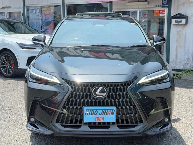 NX250 バージョンL