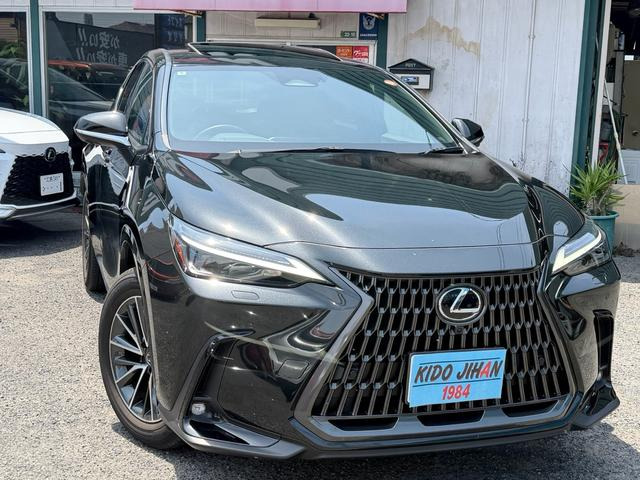 NX250 バージョンL