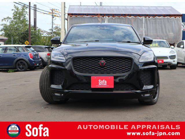 LED�I�[�g���C�g �p�[�N�Z���T�[ D���R�[�_�[