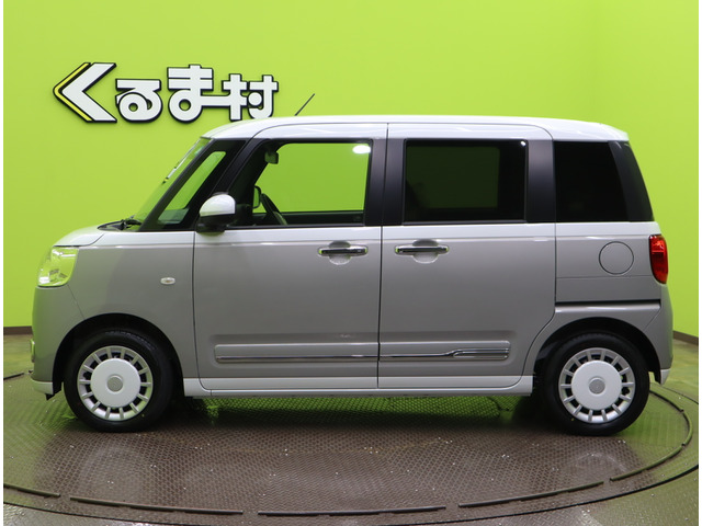 ムーヴキャンバスストライプス G