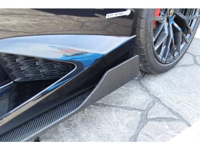LEAP DESIGN�� �J�[�{���T�C�h�X�J�[�g(294,800)