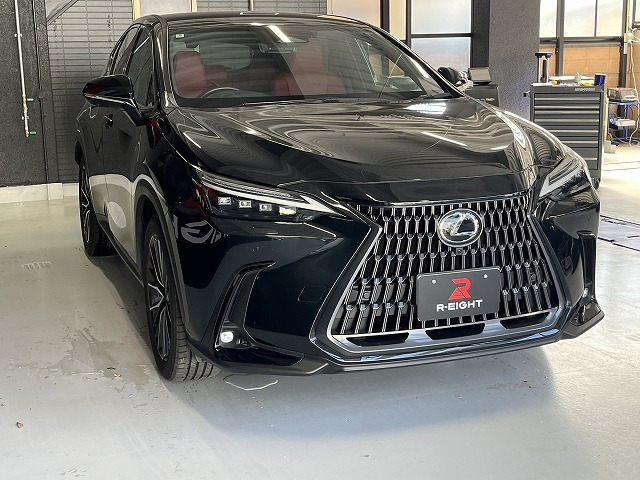 NX250