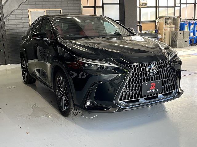 NX250