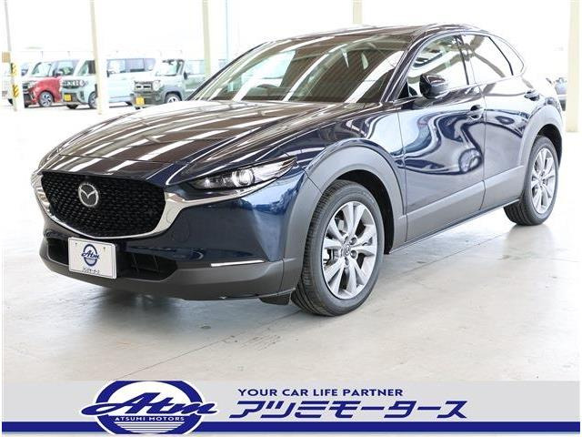 CX-302.0 20S プロアクティブ