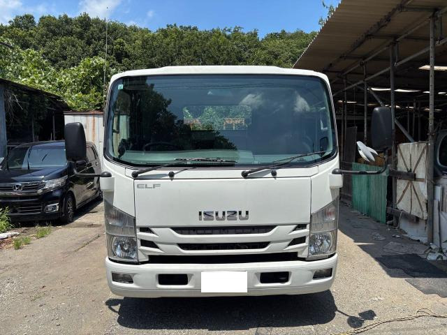 エルフ