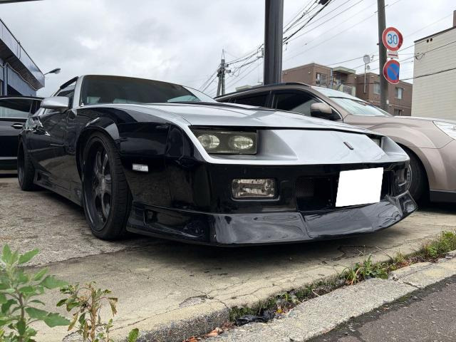 �J�}��(�V�{���[) Z28 ���Îԉ摜