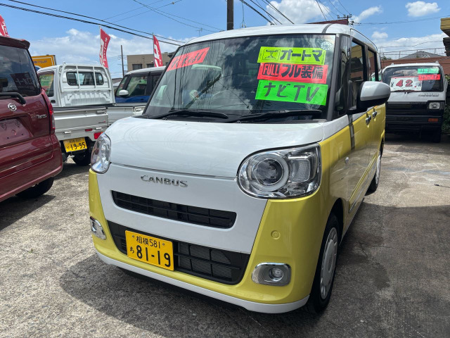 ムーヴキャンバスストライプス G