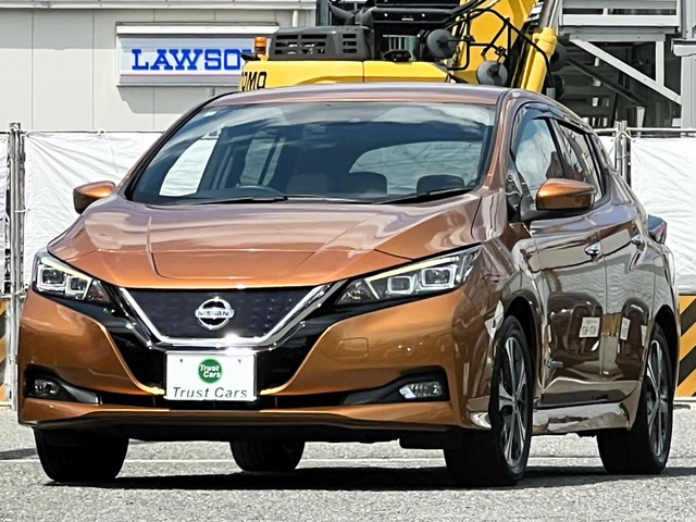 リーフX 10万台記念車