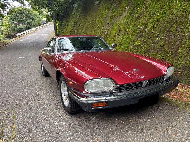 XJ-S�i�W���K�[�jXJ-S V12�@�f�B�[���[�����ԗ� ���Îԉ摜