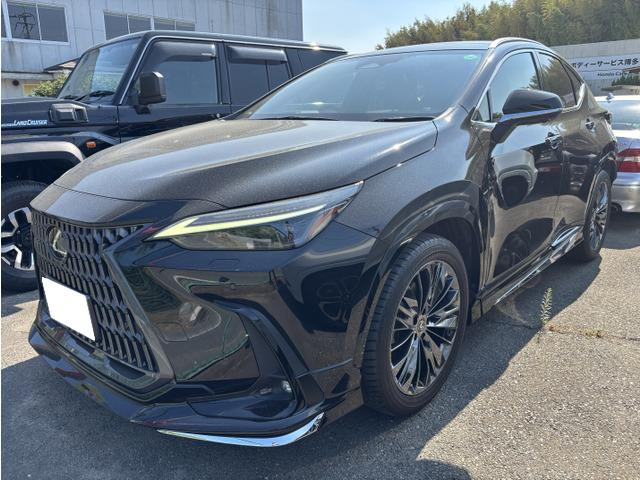 NX250 バージョンL