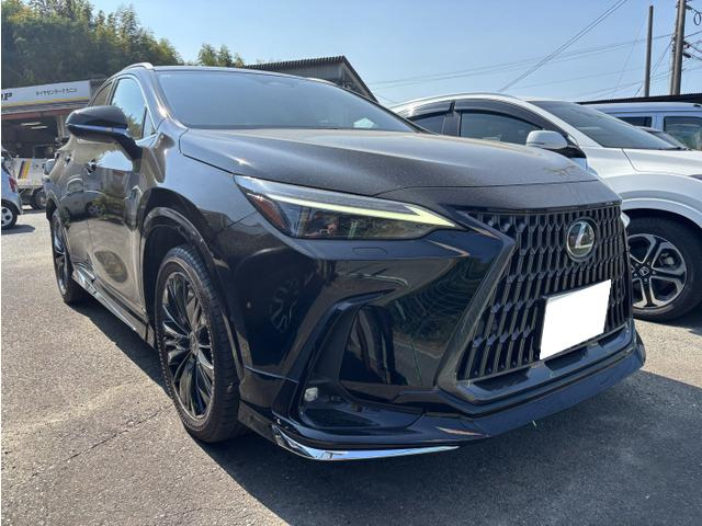 NX250 バージョンL