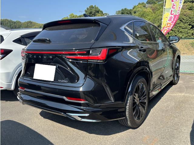 NX250 バージョンL