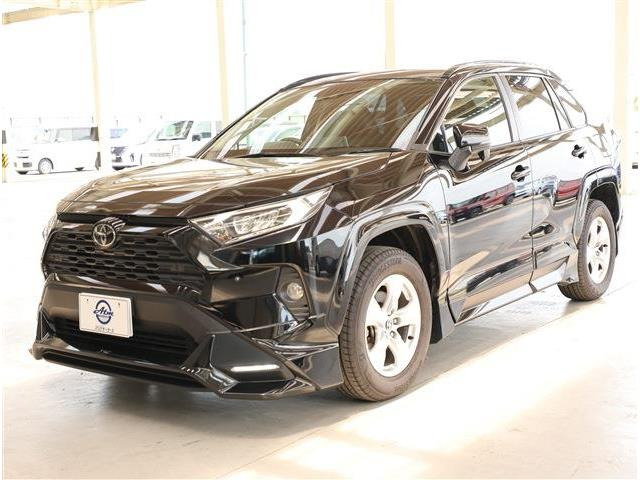 RAV42.0 X
