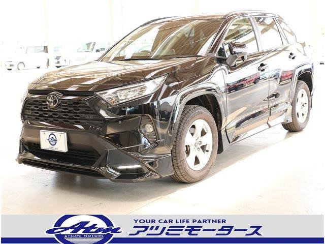 RAV42.0 X