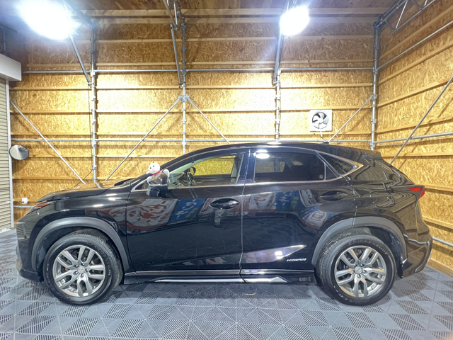 NX300h Iパッケージ 4WD