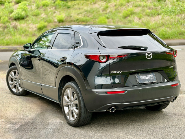 CX-301.8 XD Lパッケージ