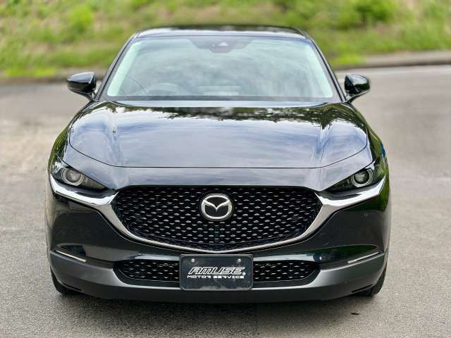CX-301.8 XD Lパッケージ