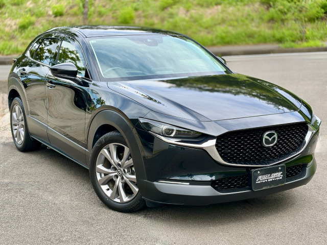 CX-301.8 XD Lパッケージ