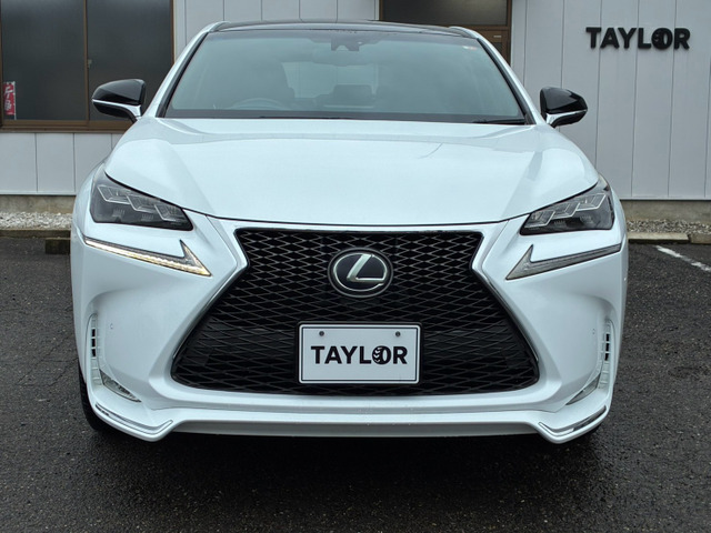 NX300h Fスポーツ