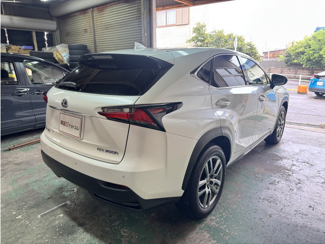 NX300h バージョンL