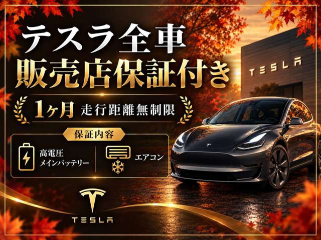 モデル3RWD