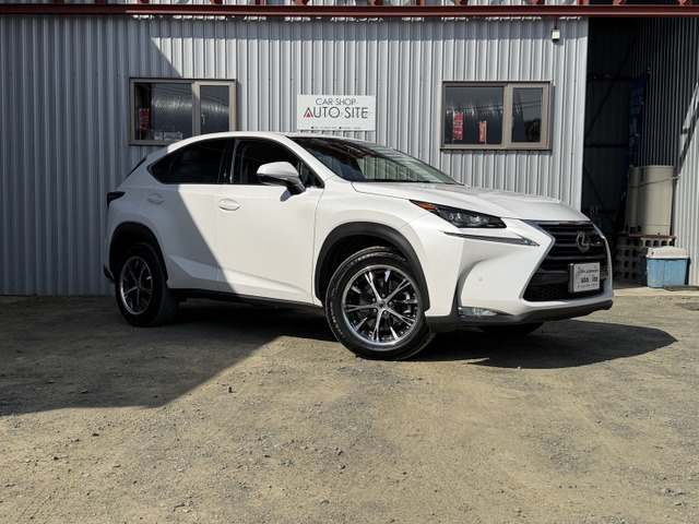 NX200t バージョンL 4WD