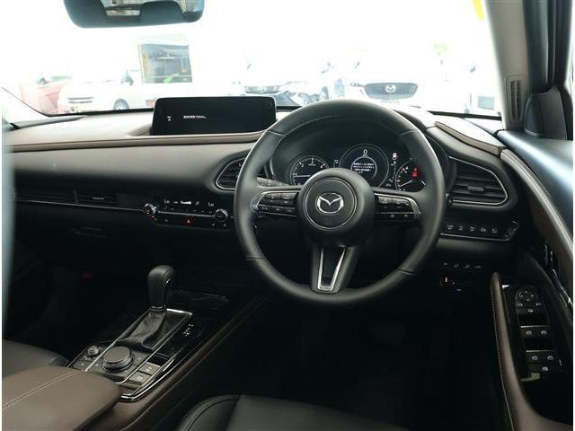 CX-301.8 XD ドライブ エディション