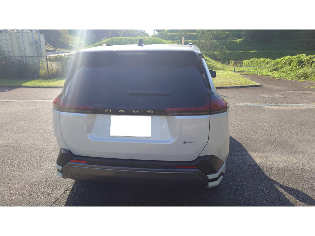 RAV42.5 Z E-Four 4WD
