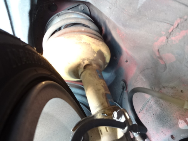 ���n�����ꂽ�r���V���^�C��&PROVA�������͍������萫�A���C���f�B���O�ł̔S��͖ܘ_�A�w���K�ȏ��S�n�x����������Ă���܂���