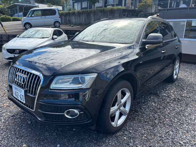 Q5(アウディ) 2.0 TFSI クワトロ Sラインパッケージ 4WD　純正ナビ クルコン ハーフレザー 中古車画像