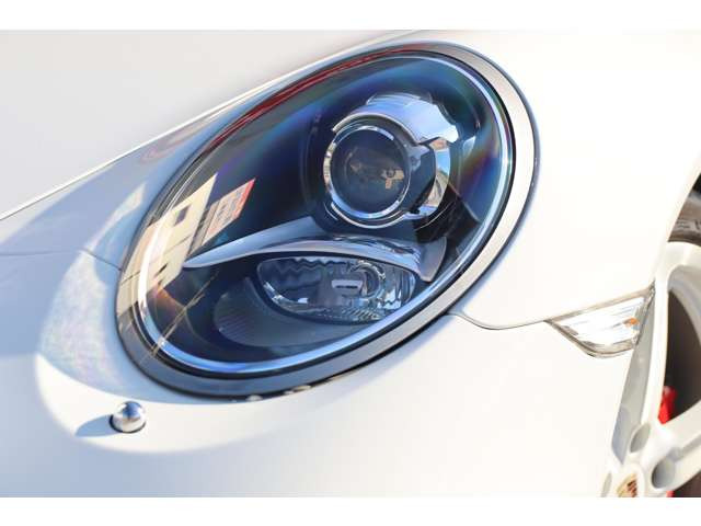 PDLS(�|���V�F�E�_�C�i�~�b�N�E���C�g�V�X�e��) / ��128.000-