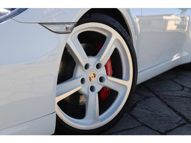 �{�f�B�J���[���F�z�C�[���X�|�[�N / ��249.000-