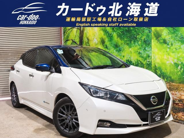 リーフ(日産) G　満充電222kmTVナビ全周囲カメラ 中古車画像