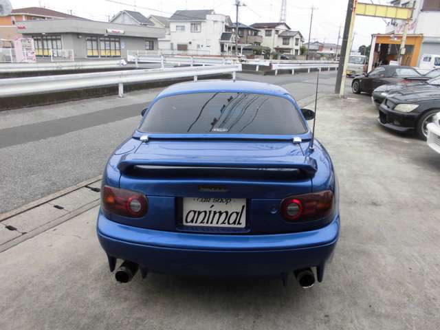 凛々しいいバックスタイル。