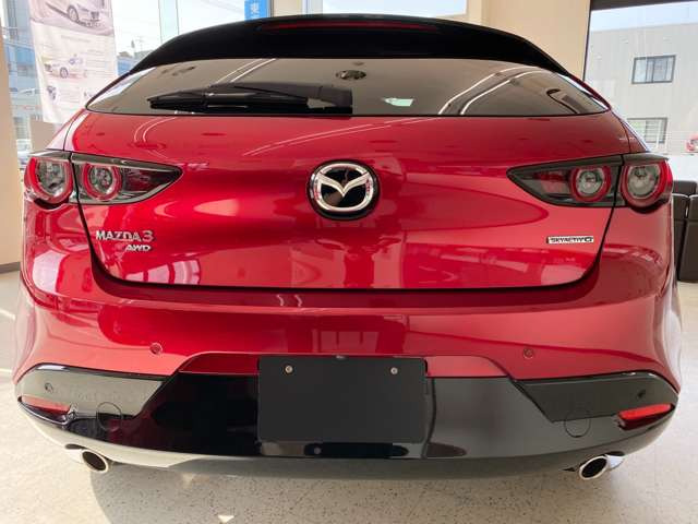 4WD�Ȃ̂œ~�����y�X���j��