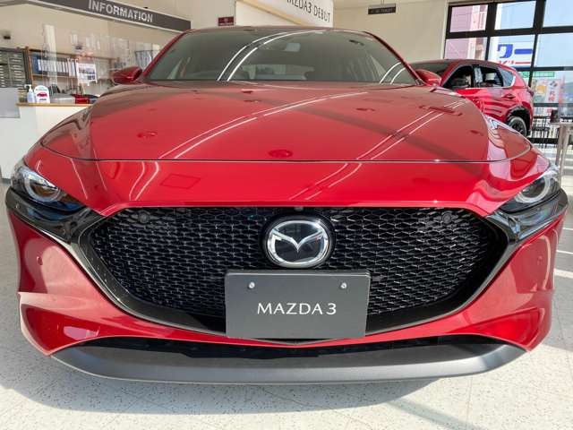 �V���[�v�ȃt�����g�t�F�C�X���l�C�J���[�̃\�E�����b�h�N���X�^�����^���b�N�􍂔N���E�ᑖ�s�̓��I�Ԃł���