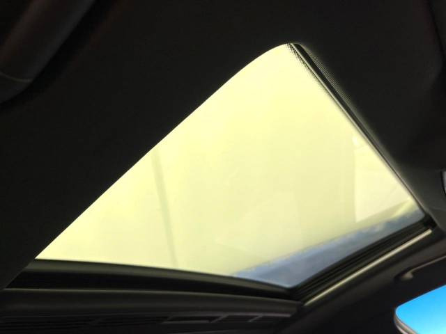 ���p�m���~�b�N�X���C�f�B���O���[�t::�唗�͂̃p�m���}���[�t�́A�㕔���Ȃɂ܂ő����Ă���A�J���I�ȋ�Ԃ����y���݂��������܂��B