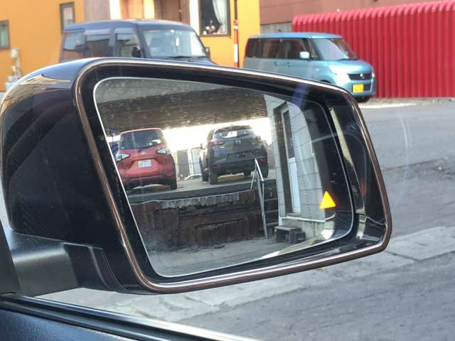 �u���C���h�X�|�b�g�A�V�X�g���ځB�~���[�Ō����Ȃ����p�Ɏԗ��Ȃǂ����邱�Ƃ��x�����Ă���܂��B